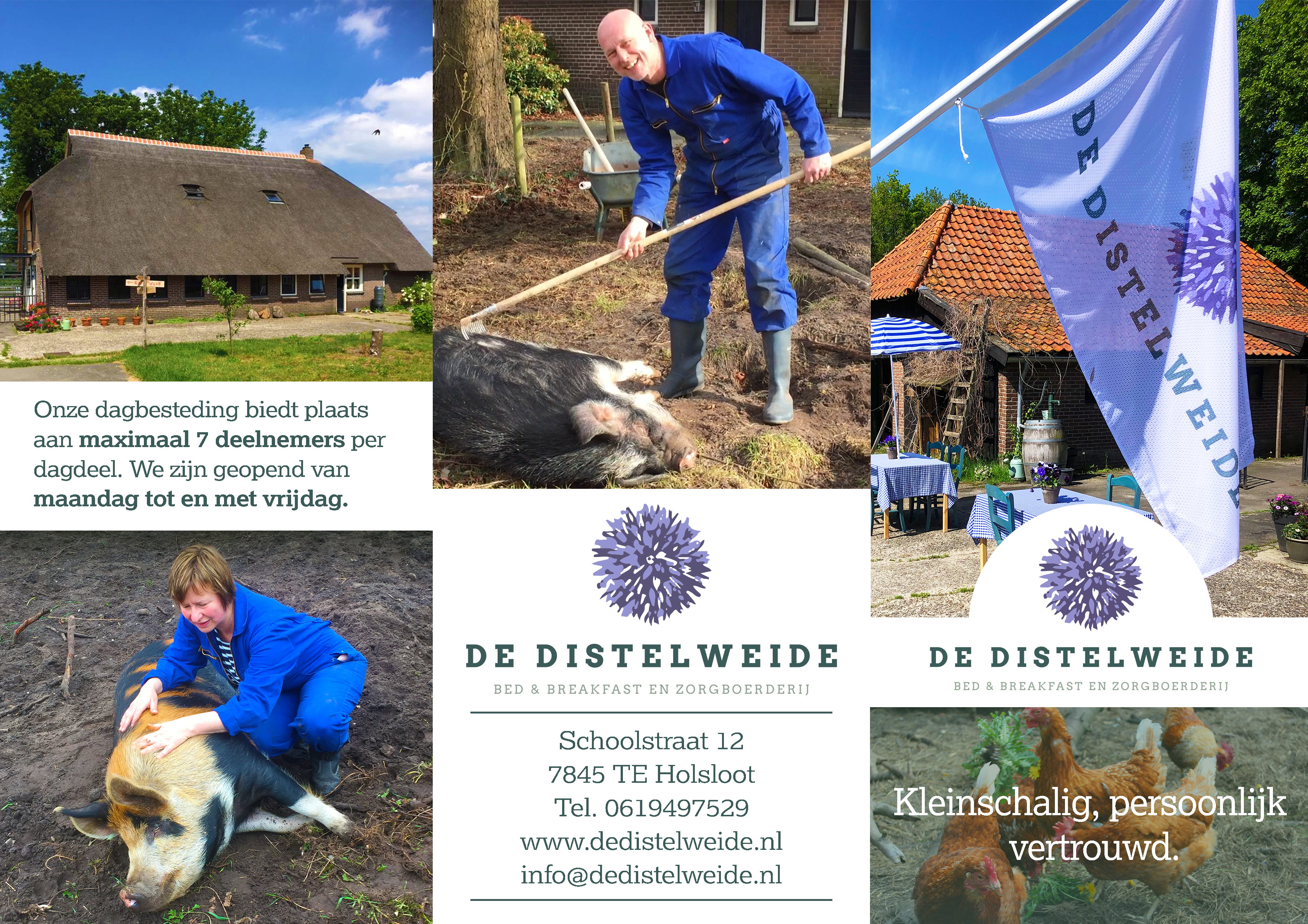 De Distelweide Brochure